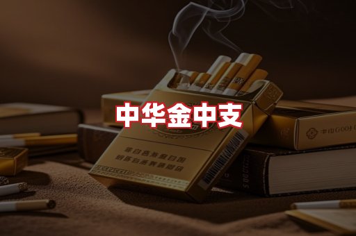 中华金中支